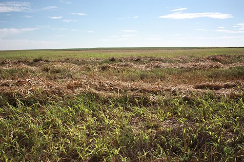 Property photo 60 - LAND AUCTION, 3255+/- Acres offered in 13 Tracts